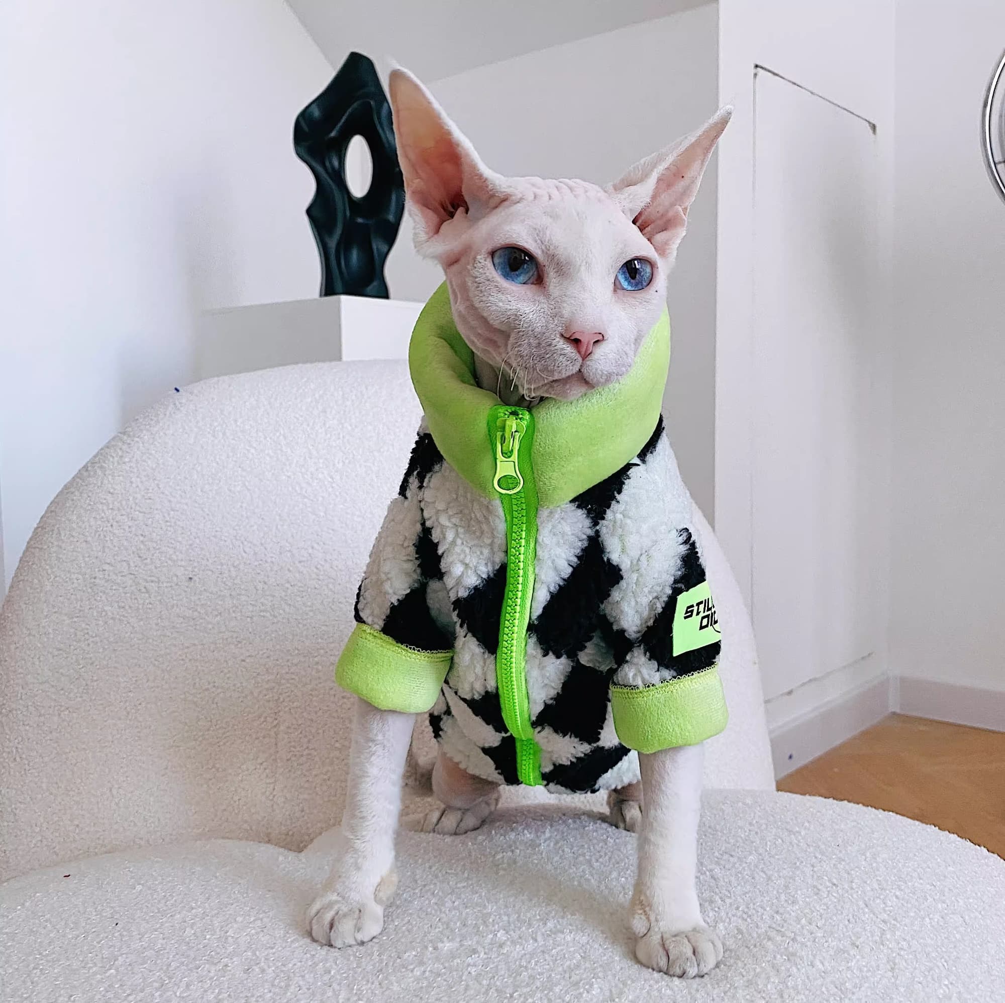 Abrigo de Lana Polar Grueso para Gatos Sphynx